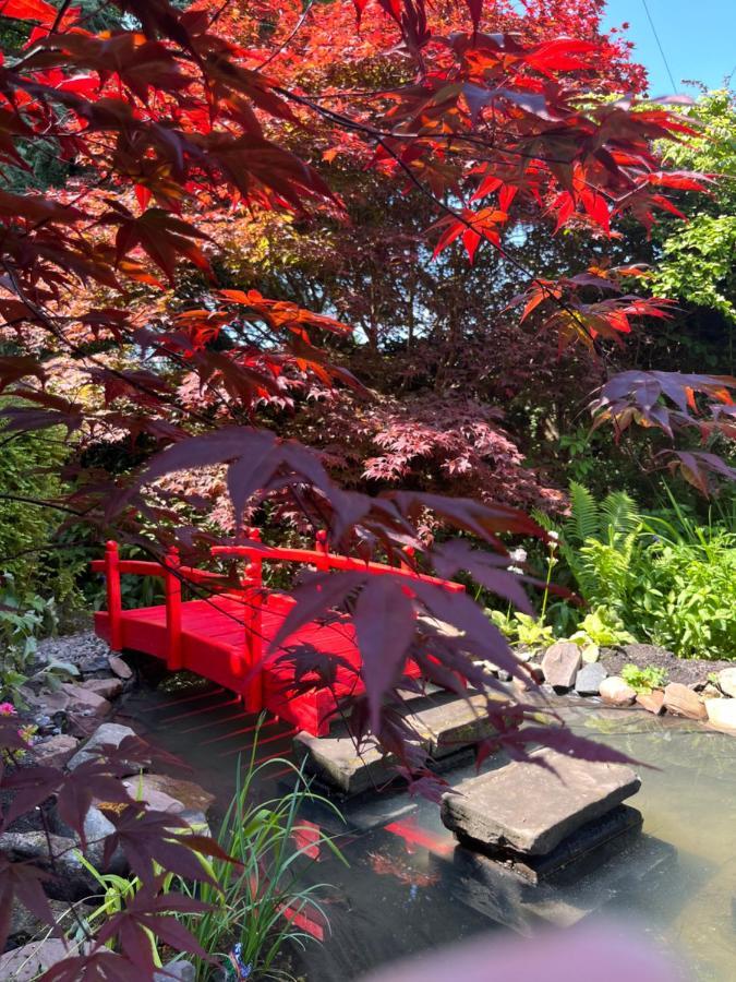 The Studio At Maspie House Falkland Exterior foto